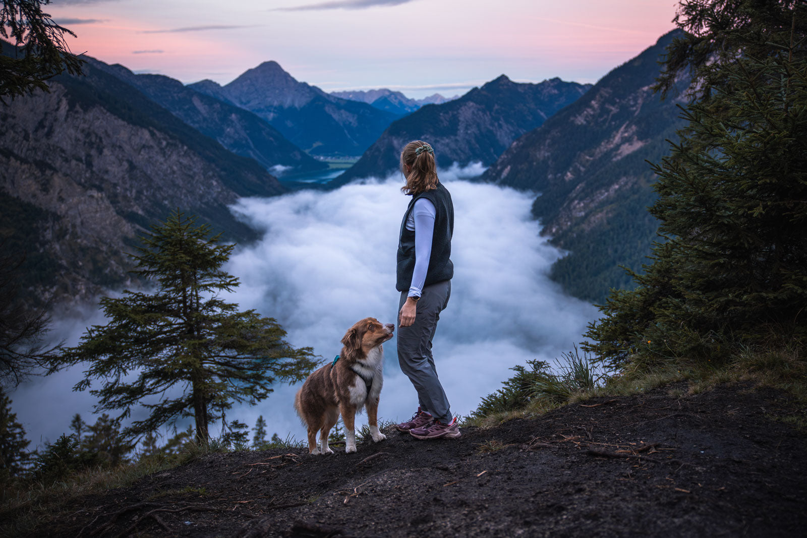 Trail quest pants W (2)