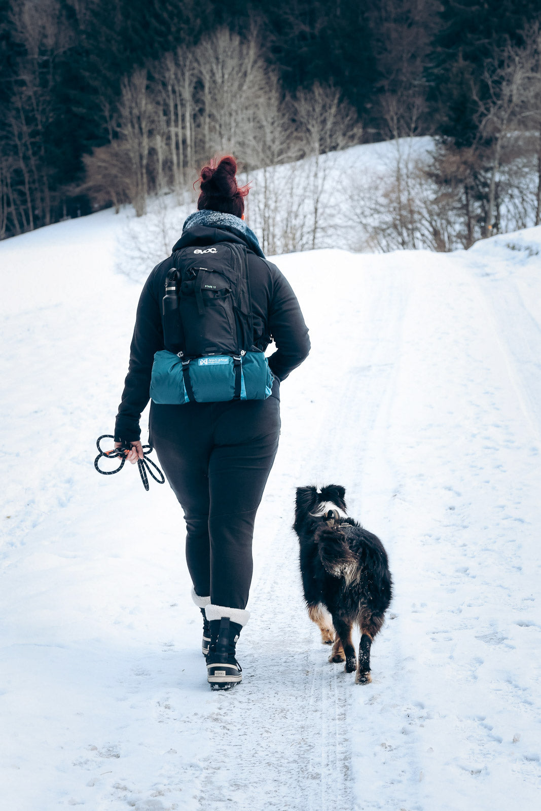 Trekking dog bed