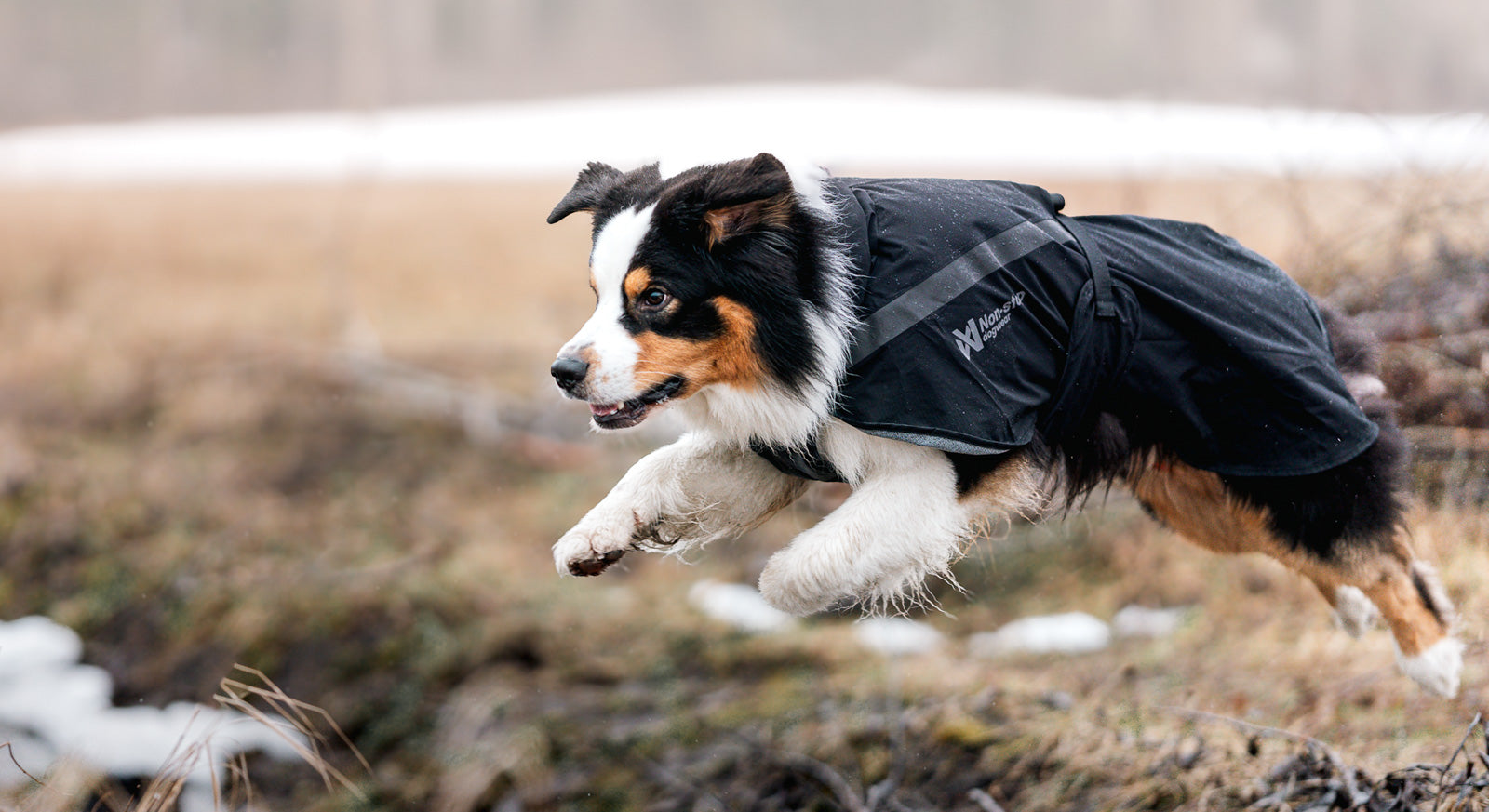 Raincoat for dogs | Trekking dog raincoat – Non-stop dogwear