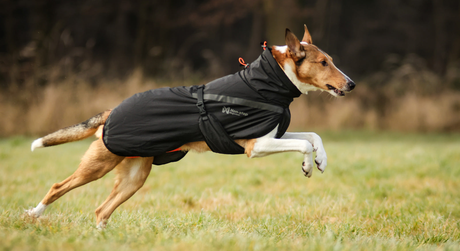 Dog jacket | Trekking insulated dog jacket – Non-stop dogwear