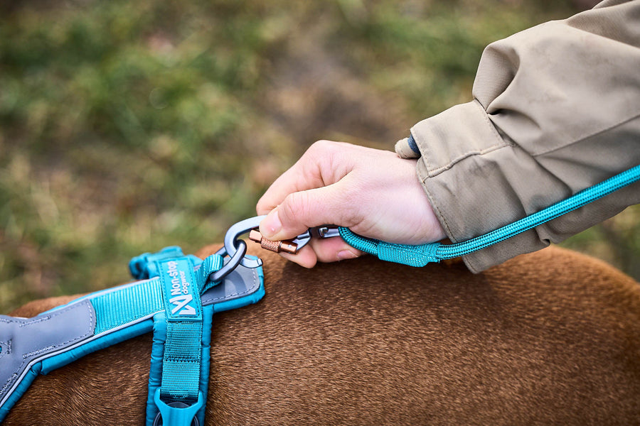 Trekking rope leash (7)