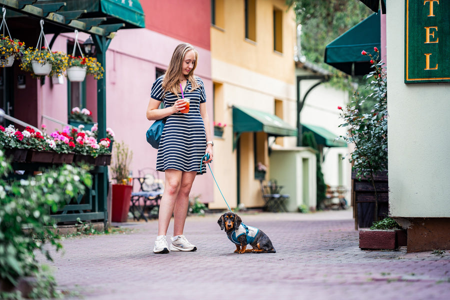 Trekking rope leash (8)
