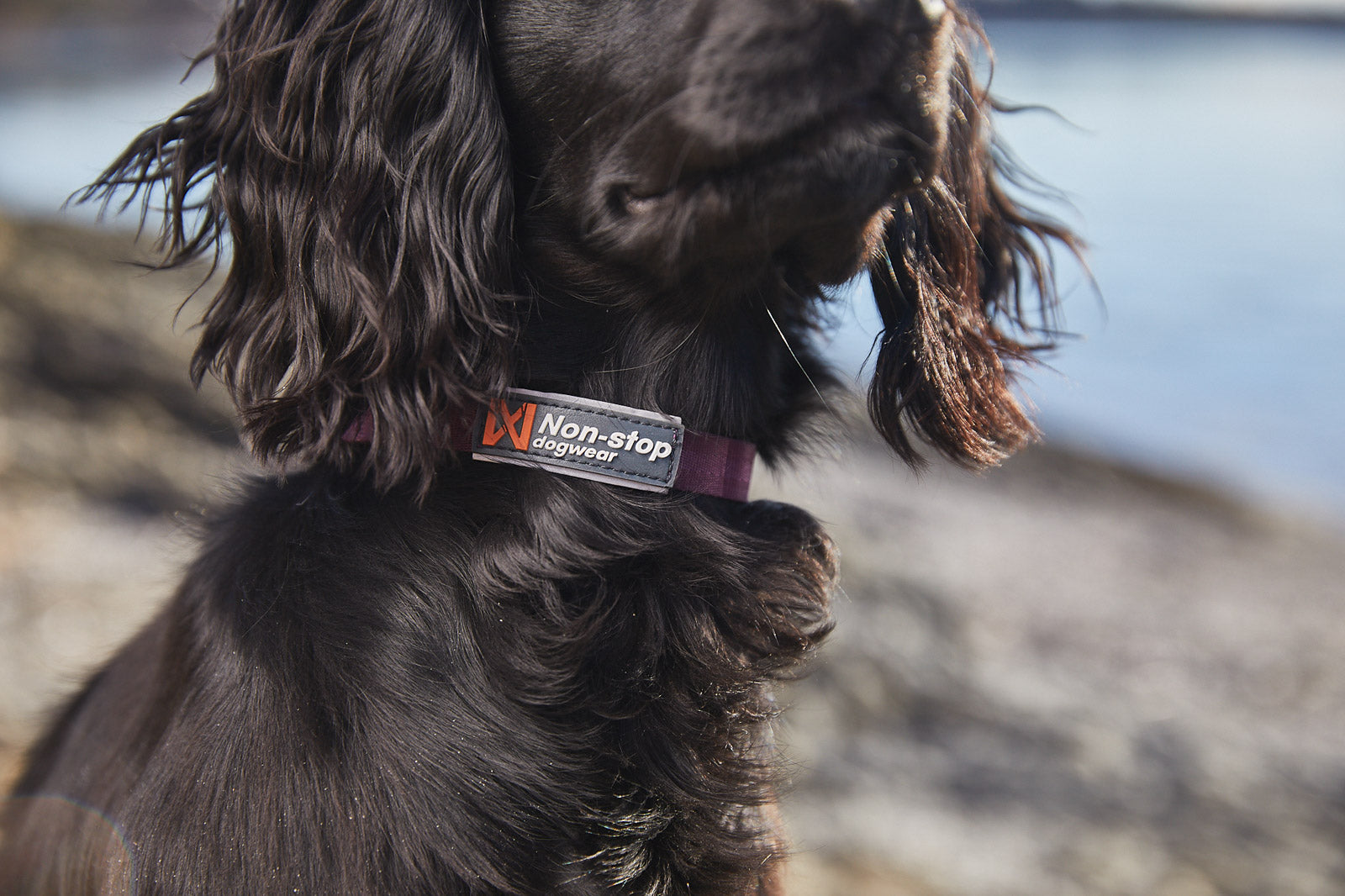 Tumble collar
