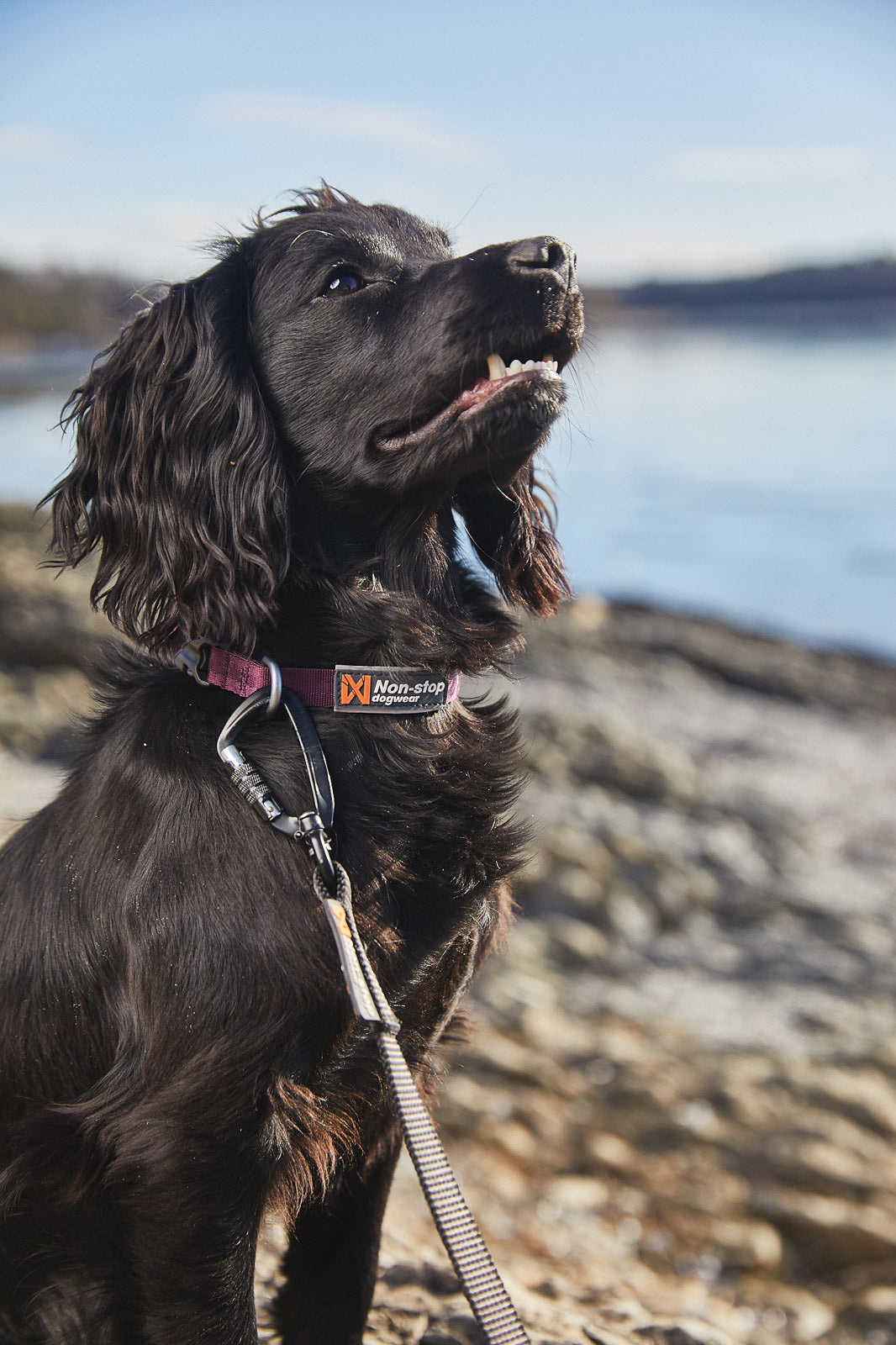 Tumble collar