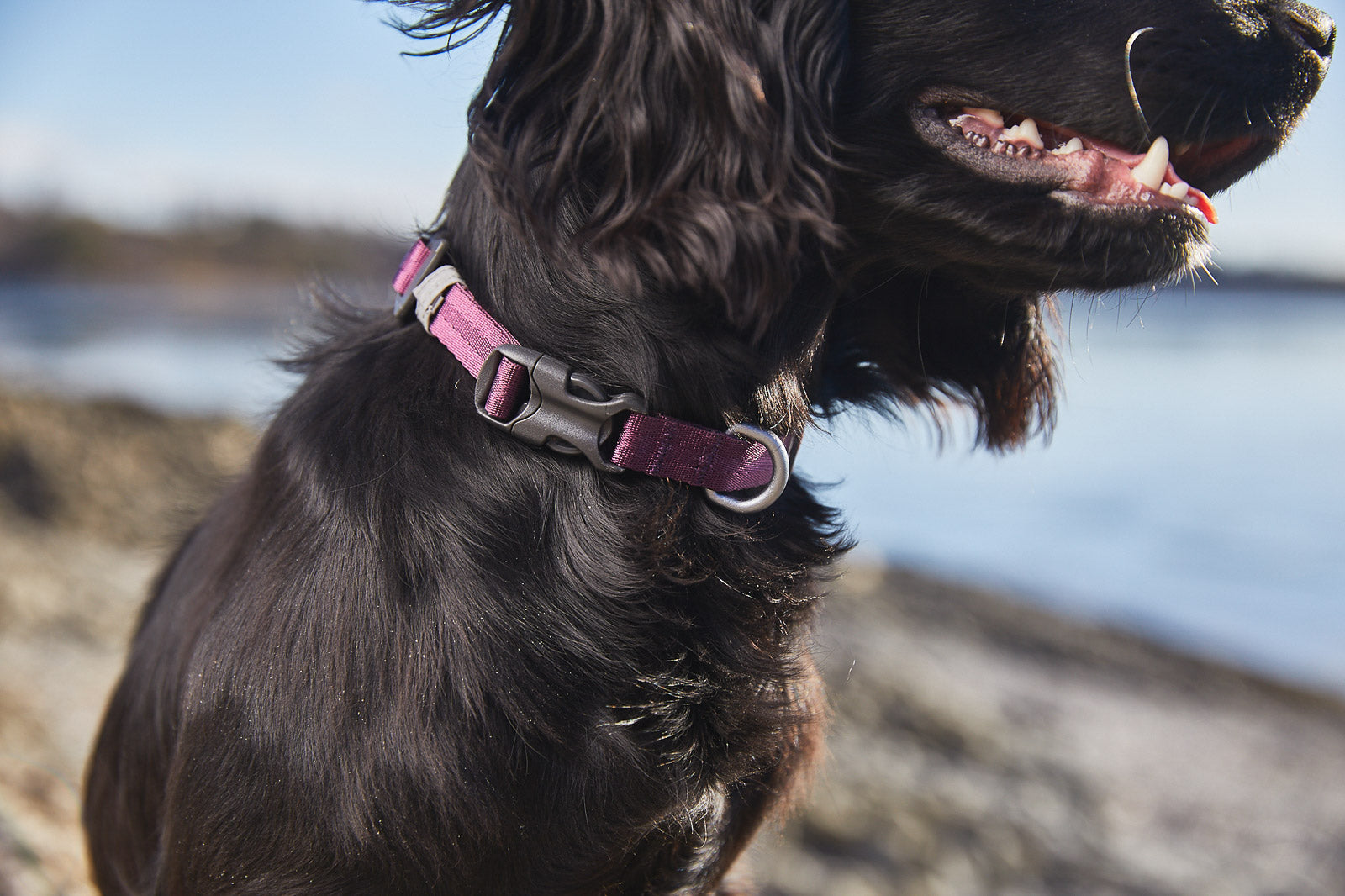 Tumble collar