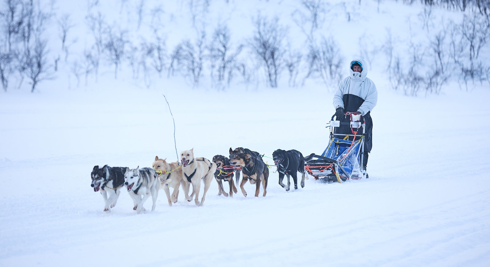 Dog mushing anorak | Tundra anojakka 2.0 – Non-stop dogwear