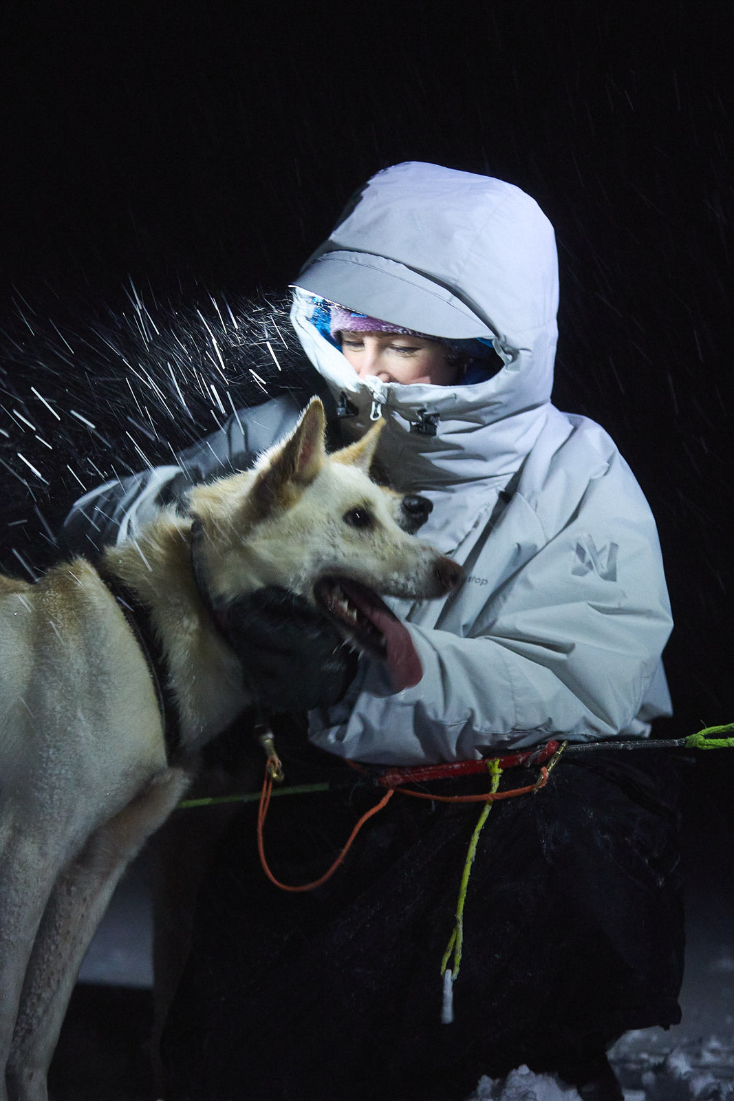 【値下げ不可】nodress poodle jacket 値下げ不可】nodress poodle jacket 値下げ不可】nodress poodle jacket