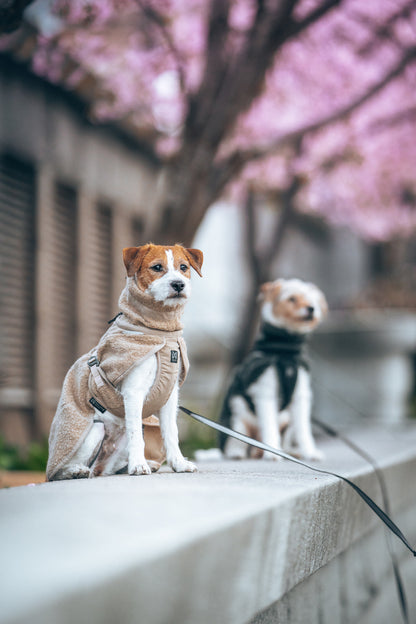 Wool dog jacket (1)