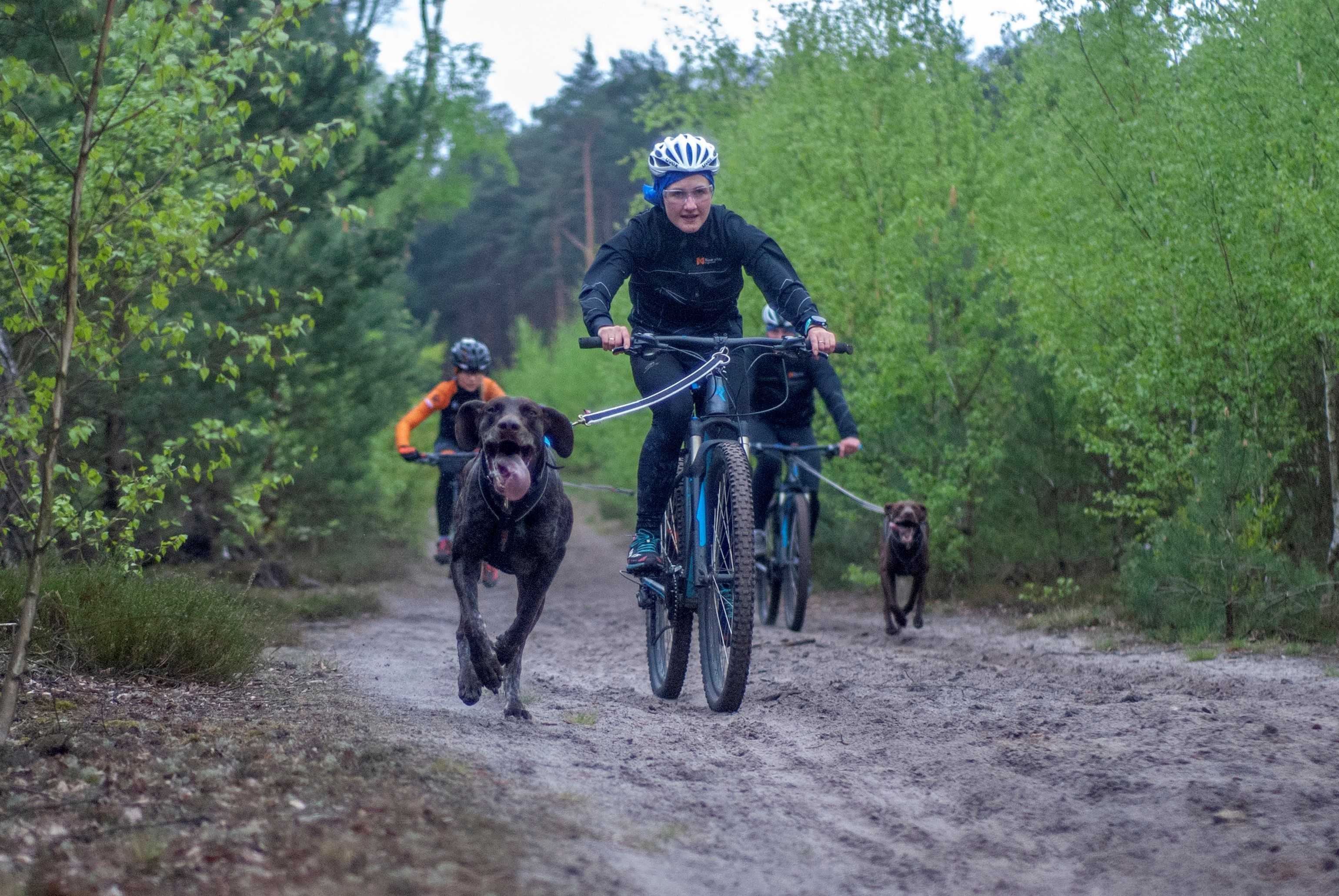 If you want to be good at canicross, train bikejoring too!