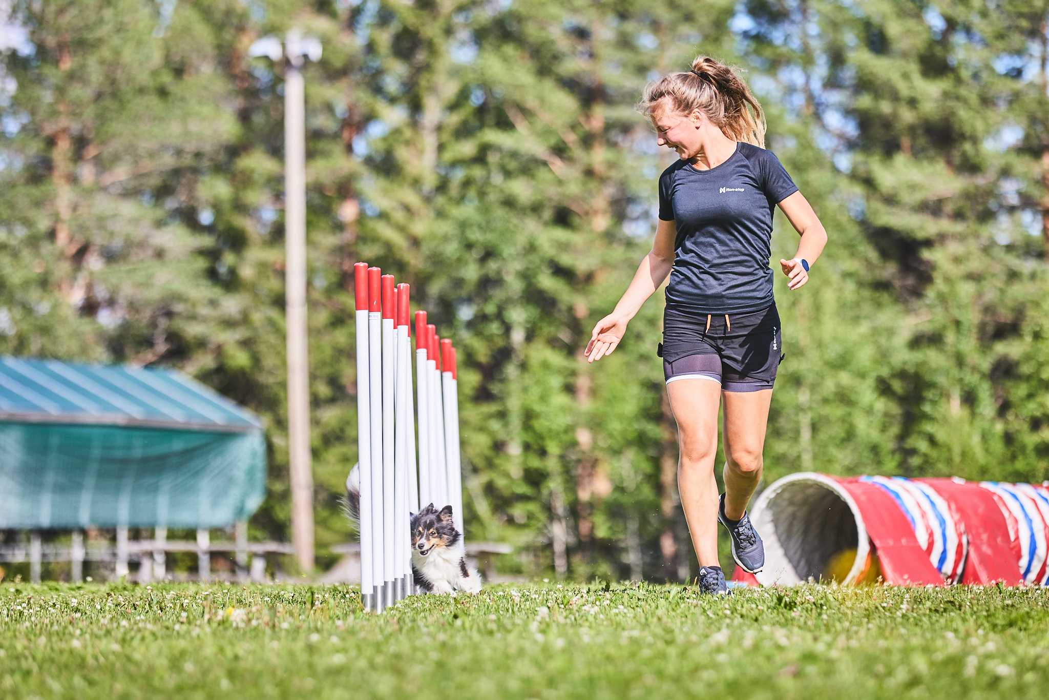 Entrenamiento de fuerza y condición física para perros de agility