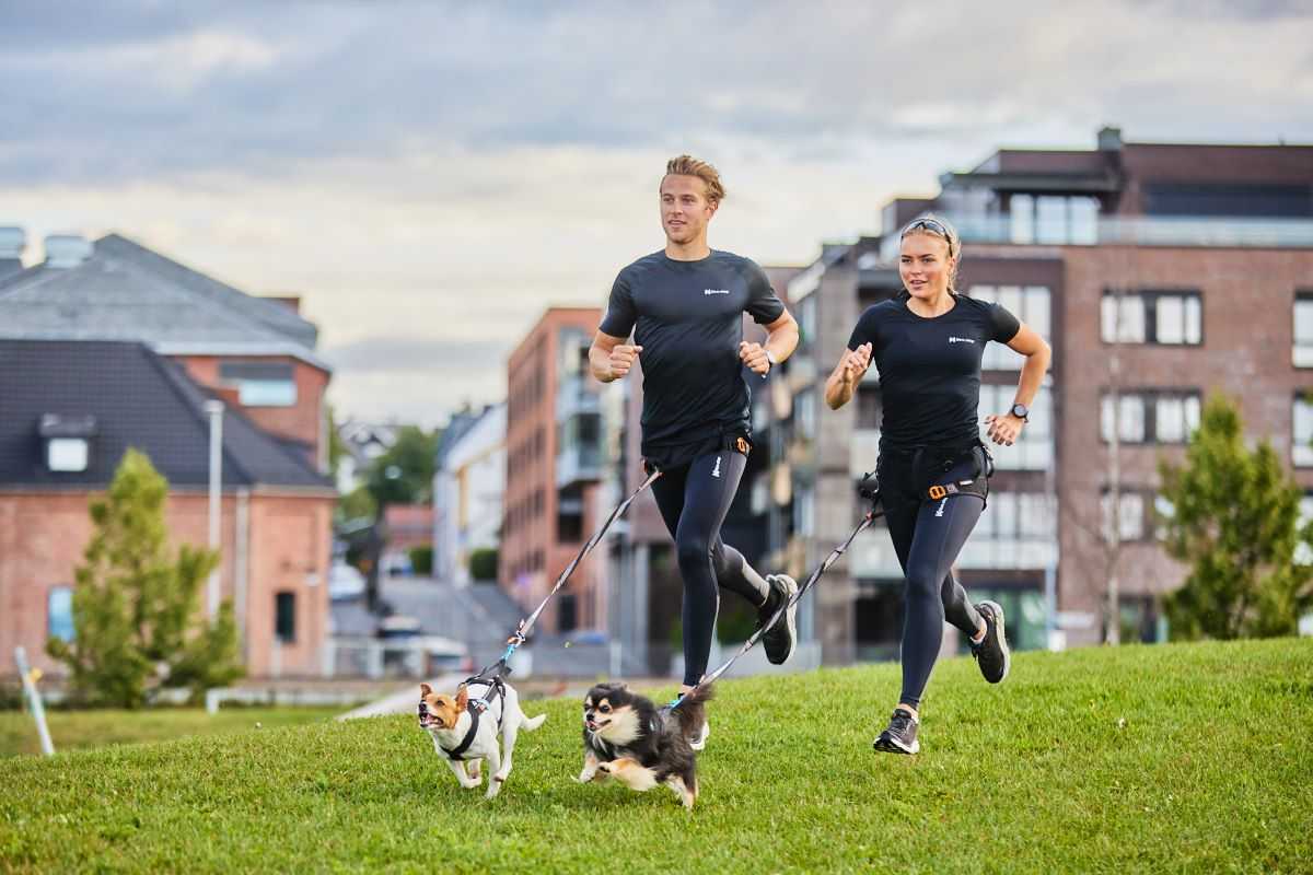 Small dogs are athletes too!