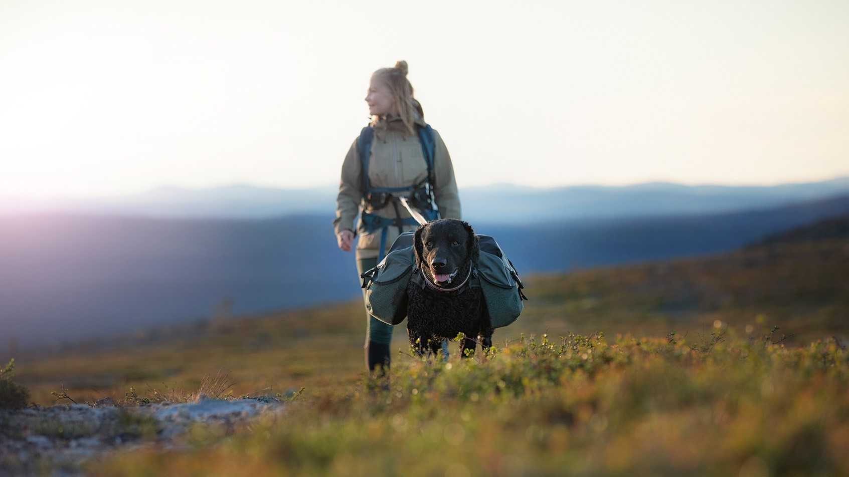 Die besten Tipps fürs Rucksackwandern mit Hund