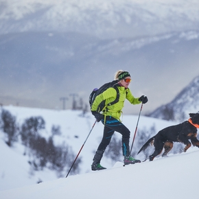 Everything you need to know to take your dog skiing