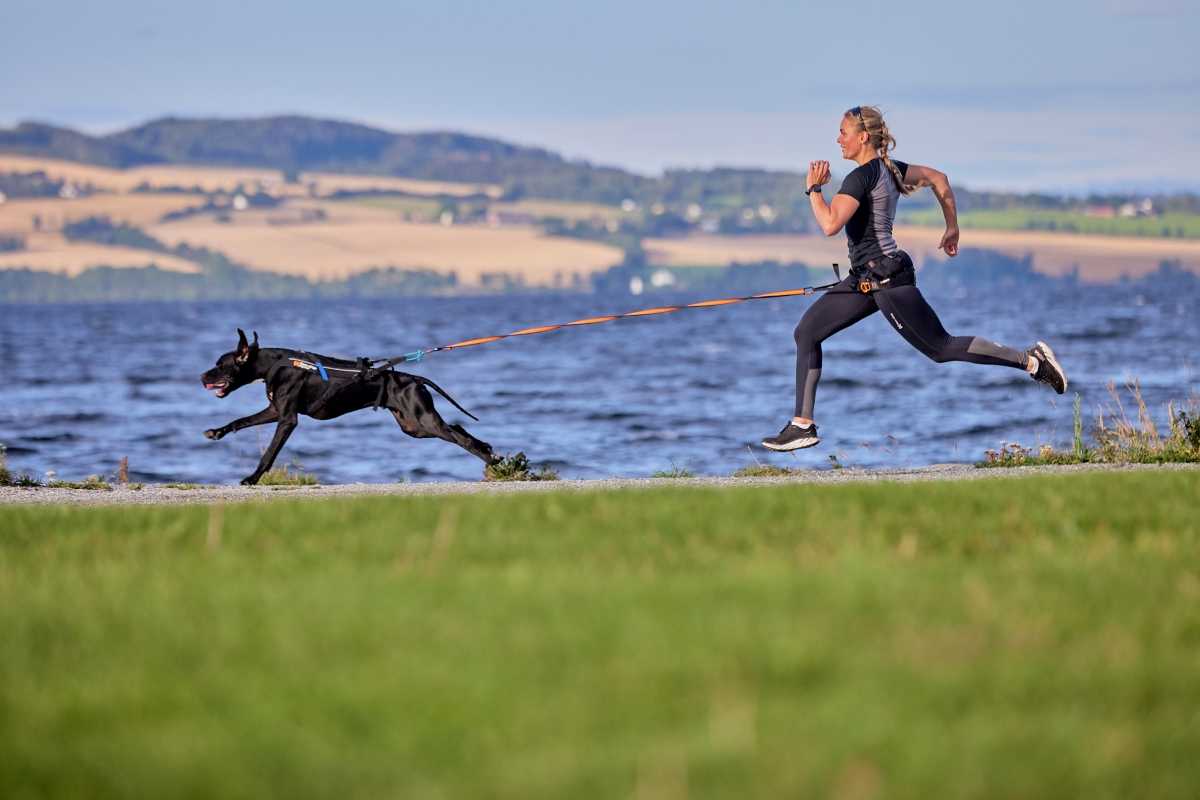 Launching sportswear specifically designed for dog owners