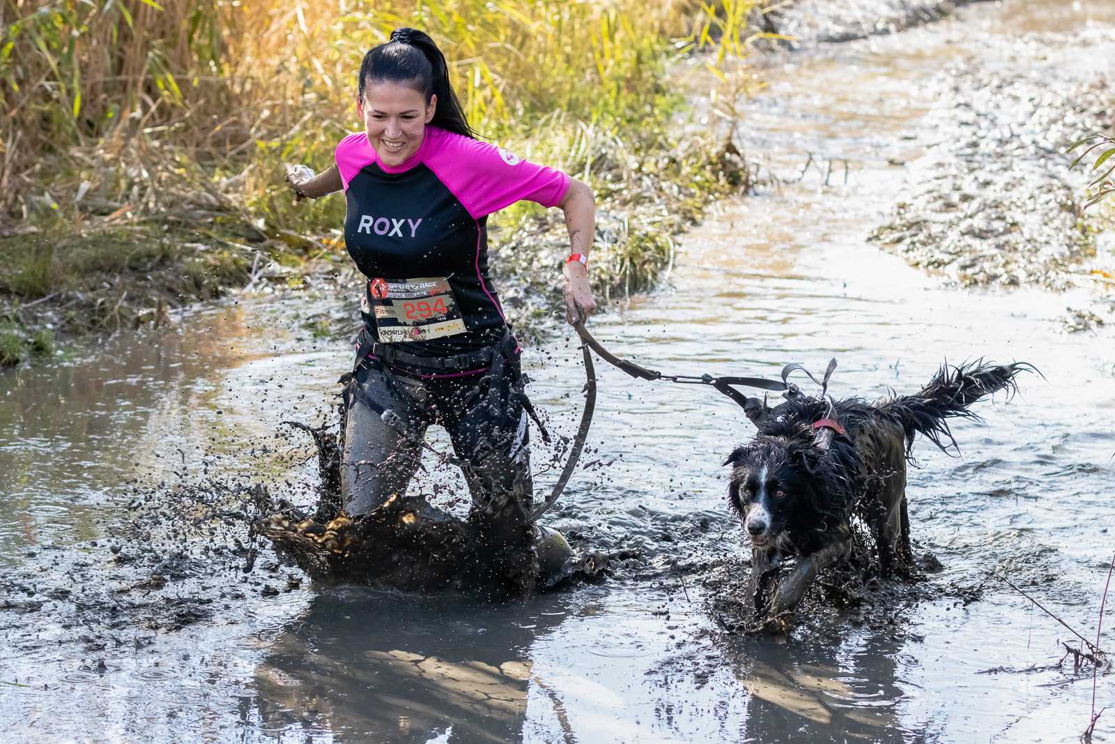 How to prepare your dog for an obstacle race