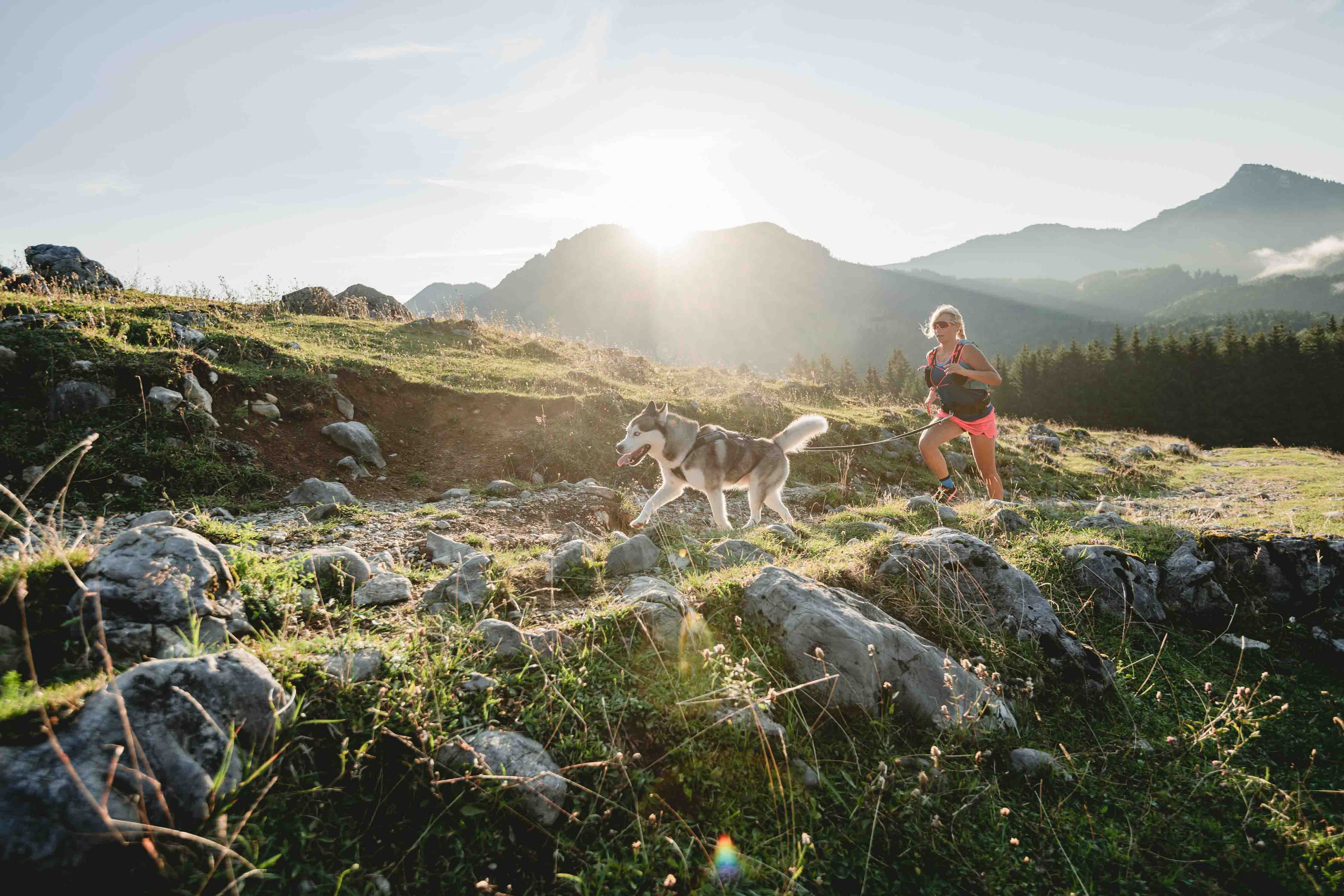 8 tips for trail running with your dog