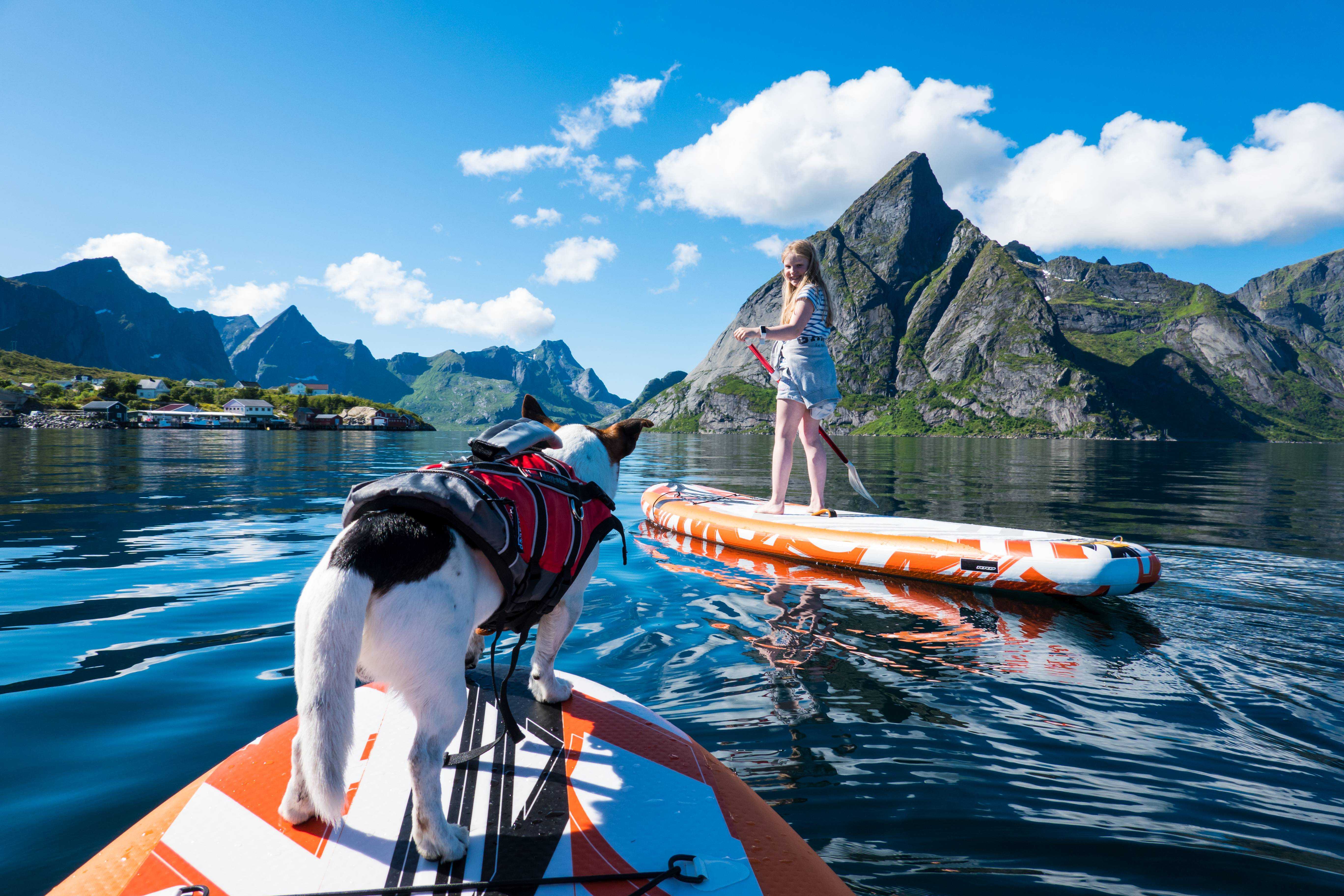 SUP with a dog? This is how you can get started!